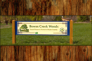 Bowes Creek Woods