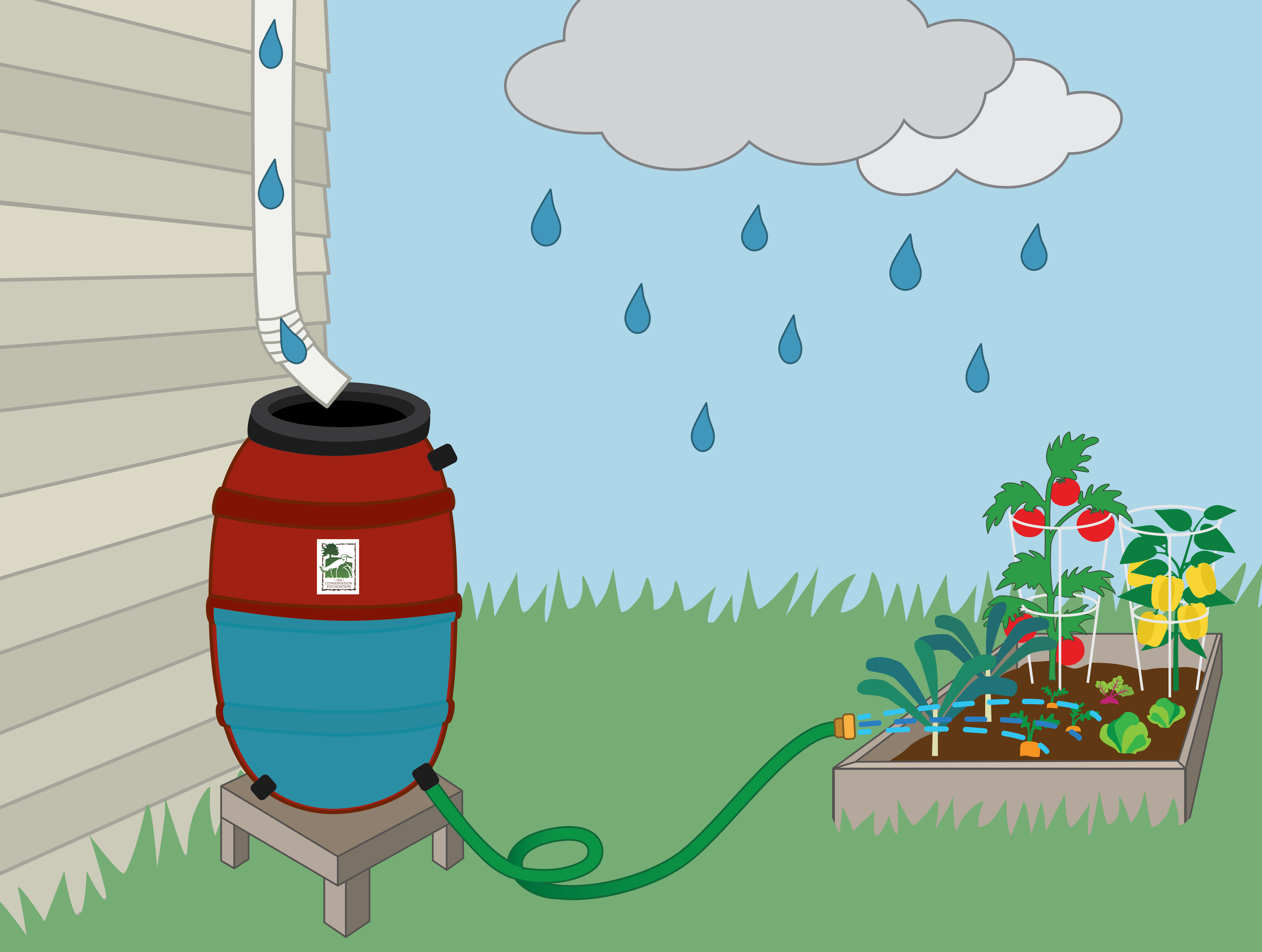 Rain barrel Illustration