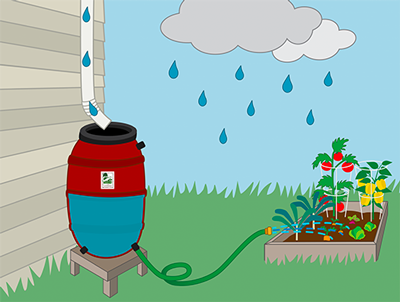 Rain barrel illustration
