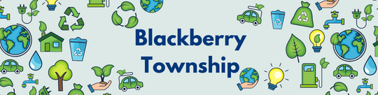 Blackberry Township