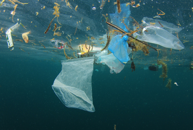 Plastic bags with other litter just under the surface of a body of water.
